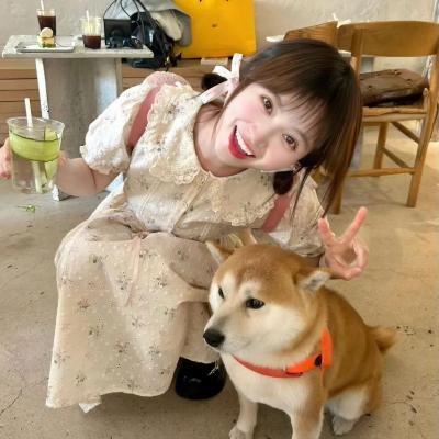 爱情像猫一样